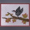 Woodpecker and Maple