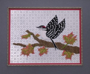 Woodpecker and Maple